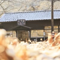 わ鐵雪景色