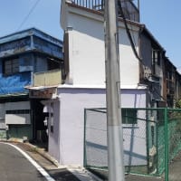 猛暑日の「雑ニストアー」