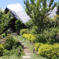 木曽川でシジミ採り 気の向くままにつぶやけば