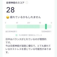 自律神経 1日目