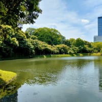 小石川後楽園（３）