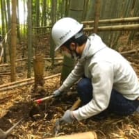 【関西中国】中坪・竹林整備＆タケノコ掘り