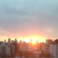 新しい年