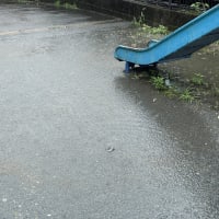 荒梅雨