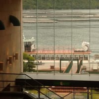 めぐりめぐって～宮島～お島まわり１