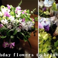 Ｂｉｒｔｈｄａｙ　Ｆｌｏｗｅｒｓ.