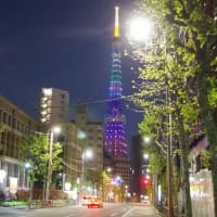 こどもの日。