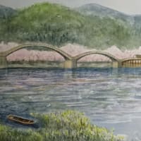 山口県岩国市　錦帯橋と桜　(№１～№３)