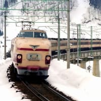 さよなら国鉄特急形電車