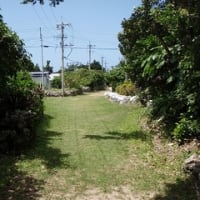 沖縄の離れ小島―パナリ島