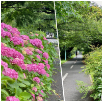 季節は巡り