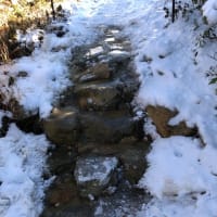 【大雪山国立公園・旭岳情報】雪の少ない旭岳