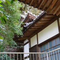 愛媛県西条市、洲之内甲「四国八十八ヶ所第６４番札所前神寺」です！！
