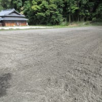 田植え準備と志岳会同窓会