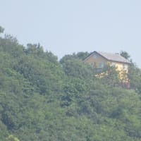 木津温泉（ゑびすや）周辺の自然・環境