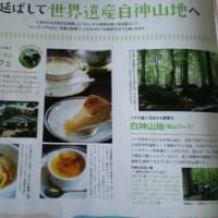 しらかみカフェ掲載
