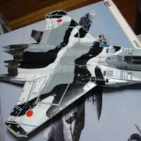 ハセガワ 1/48 《F-15DJ イーグル アグレッサー2009》 制作過程