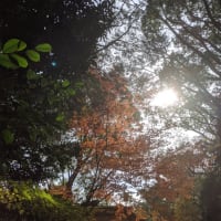 記録61・熱田神宮へ