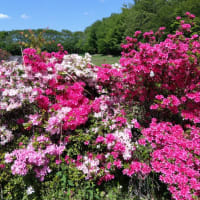 2025年5月8日　ちょっとサイクリング