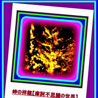 🐉🌈〖洗足流れ〗小滝に【⚡龍神様⚡】出現❢❢