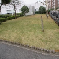 ＃㊶新松戸ファミ－ハイツ理事会各位　清掃員の減少と管理を