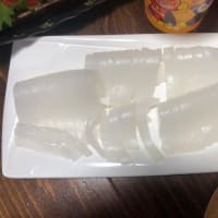 初アオリイカ