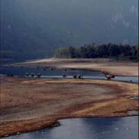 桂林で干ばつ続く　川下り観光にも影響