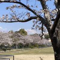 2025年4月初旬