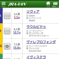 ８月７日今日のレースより