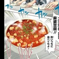 理想の麻婆豆腐を求めて