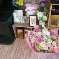 15才7か月15日・・・✨
