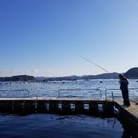 2019/01/19　光栄丸で初釣り