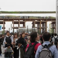 婿殿の厚意にEXPO 2025 大阪・関西万博見学