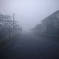 霧がかかっている福島です。