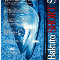 MSB892-PE ベイトモデルの逸品が!! - SEABASS JUNKIE MSB892-PE ベイトモデルの逸品が!! - SEABASS JUNKIE