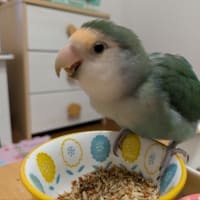 きゅうりのキュ〜ちゃん作って🥒ご飯いっぱい食べました😋