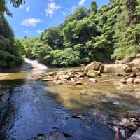 養老渓谷で森林浴