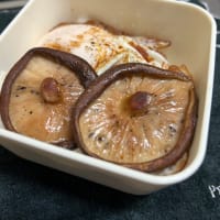 面倒でも…