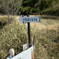 三村家親の災難