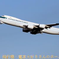 11月16日 成田空港