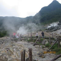 小旅行