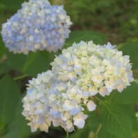 引っ越し先の決定のお知らせ！