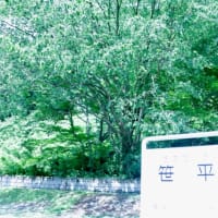 宇奈月渓谷鉄道・・・青空　新緑