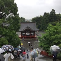 アナベラ