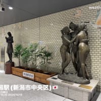 帰省