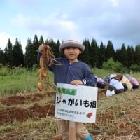 Ｈ２９年の収穫祭が行われました