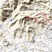 春の低山登山　石ケ森（滝沢中学校ルート）