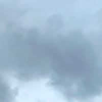 病気だから仕方ないってわかってはいるけど