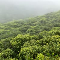 八丈富士登山