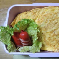 我が家のお弁当(∩´∀｀)∩ﾜｰｲ　2025/06/12とその前